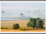 Early morning mist in Wiltshire