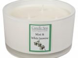 3-Wick Candle – Mint & White Jasmine