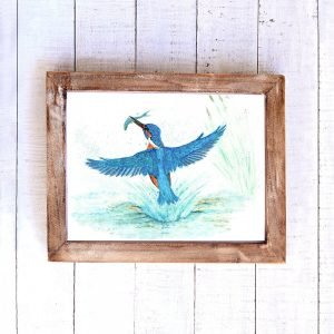 Print of original watercolour 'Kingfisher fishing'