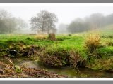 Late autumn mist in Wiltshire